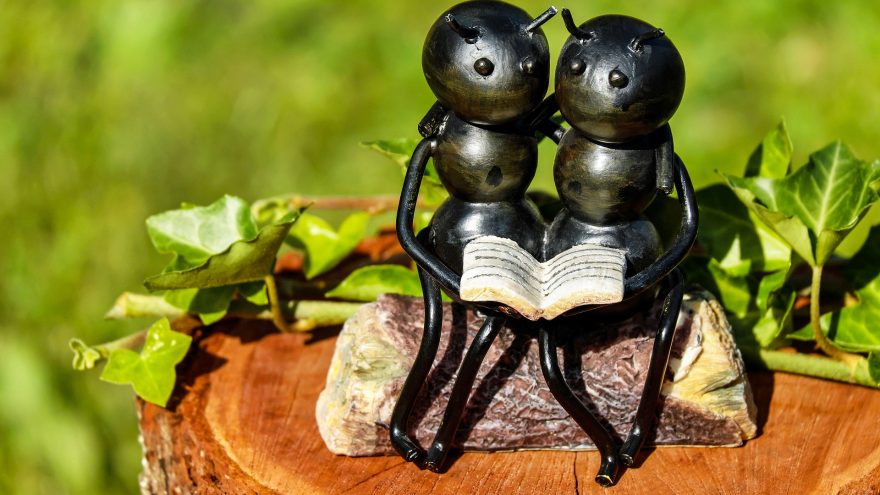 ants-gff94e9aba_1920
