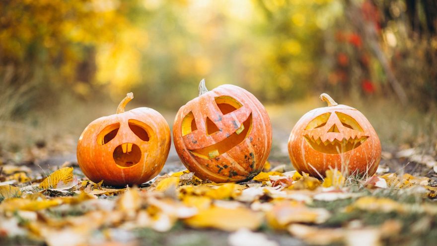 pumpkin-6720424_1920
